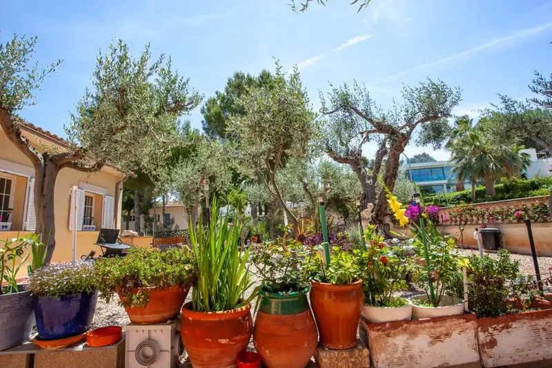 In one of the most coveted locations in Santa Ponsa, just a few minutes' walk from the beach, the marina and the golf course, you will find — photo 6