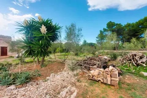 Cortijo in Muro, Mallorca — photo 9