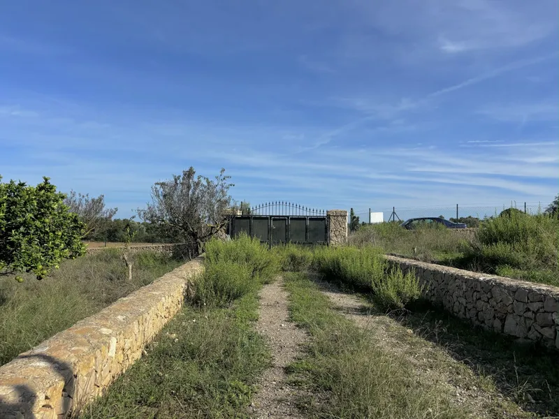 House / Chalet in Manacor — photo 11