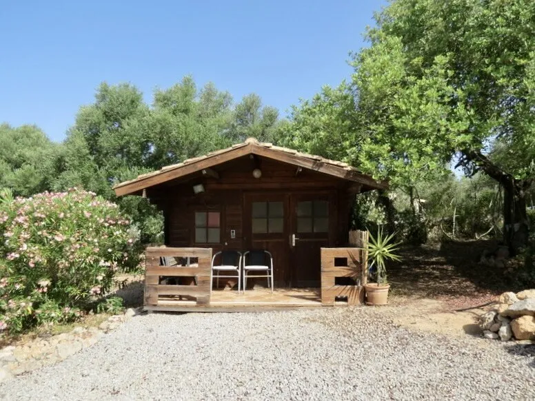 Idyllic finca in a fantastic location with pool near Llucmajor — photo 8