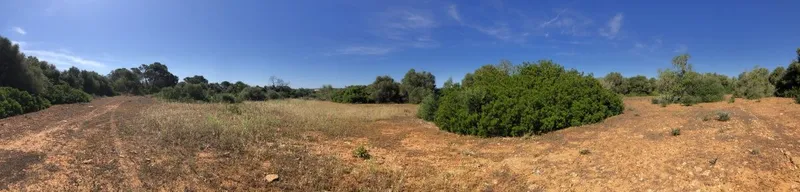 Plot with basic project of approximately 356m2 located in the area of Son Cosme — photo 1