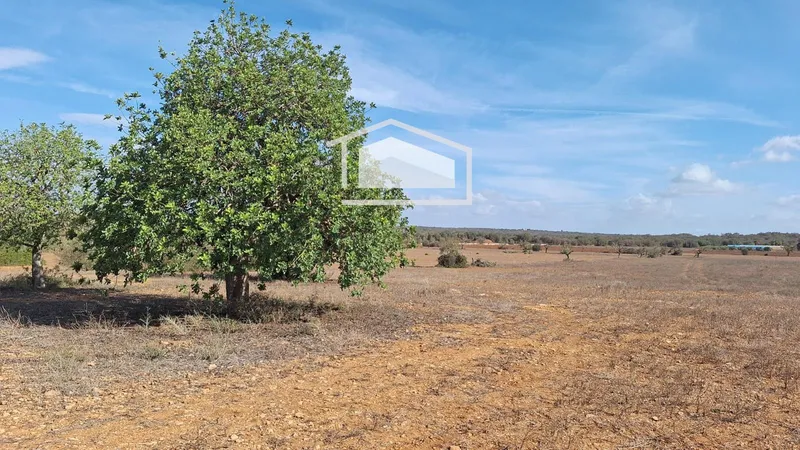 Plot in Ses Salines, panoramic views and possibility to build a 450 m² home — photo 3