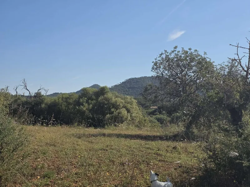 Exclusive building plot with panoramic views — photo 8