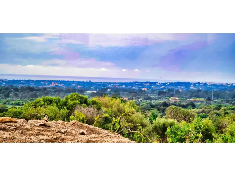 In the Bellavista area, very close to Cala Millor, on a plot of 14110 m2 we offer you this new project: a finca of a superf — photo 1