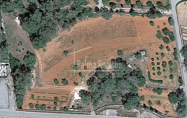 Country Estate for sale in Algaida of 16229 m2 — photo 10