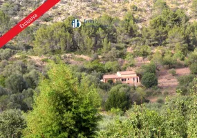 Charming Country House in Puigpunyent — photo 1