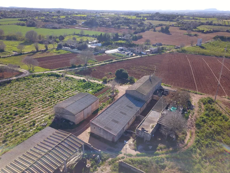 Finca for agricultural use with residential house in Manacor — photo 7