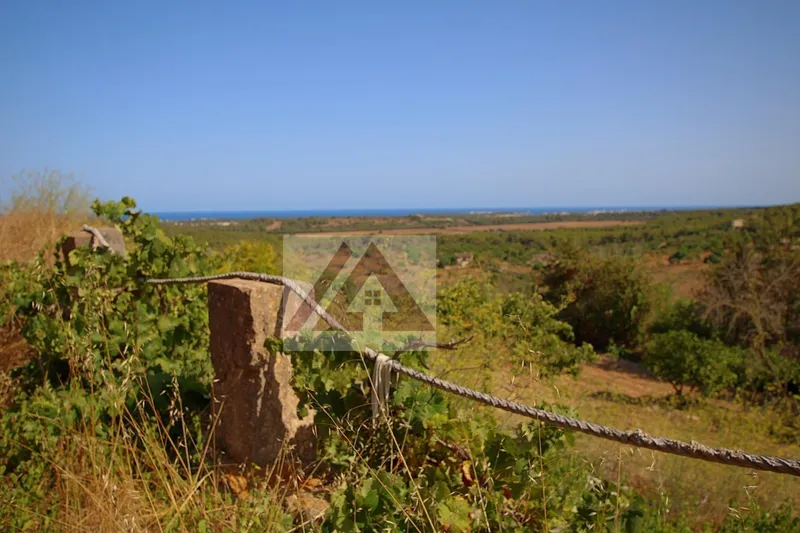 Country house for sale in Manacor — photo 11