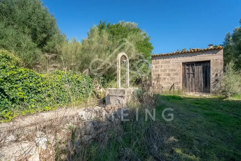 The Castell d'Amos estate, located in Costitx, has an area of 252,000 square meters and borders the municipalities of Sineu and Llor — photo 12