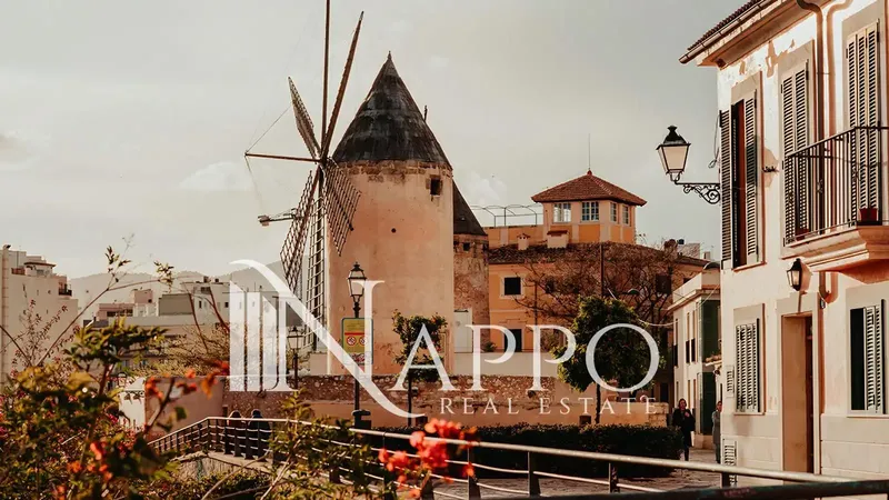 Nappo Real Estate is pleased to present an excellent investment opportunity consisting of six apartments located in La Lonja — photo 3