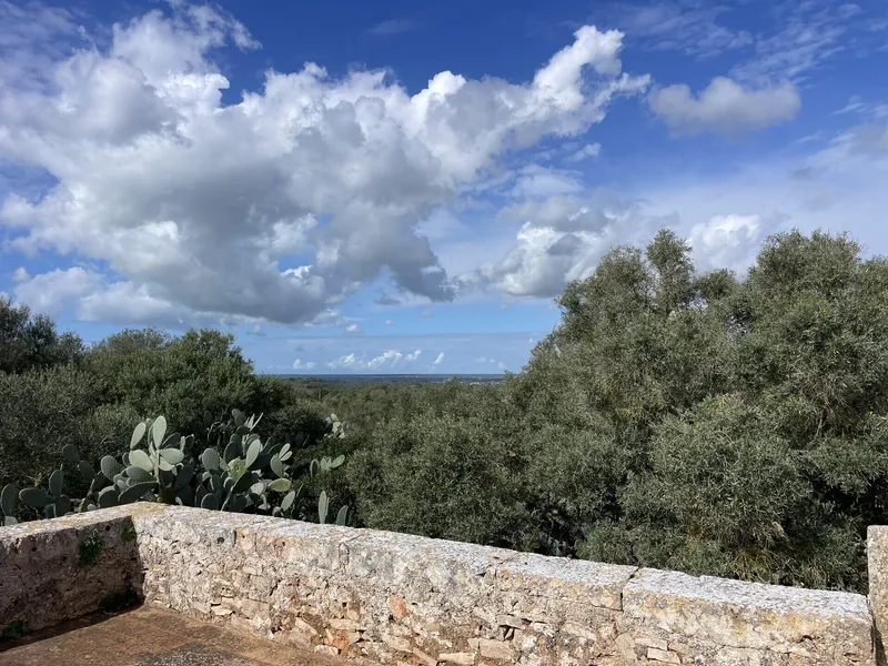 Rustic finca for full renovation with distant views of the Sierra de Tramuntana, Campos — photo 6