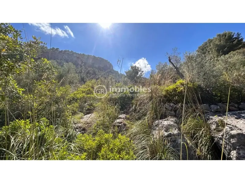 Rustic finca in Alaró of 22,600 m² in ANEI area — photo 8