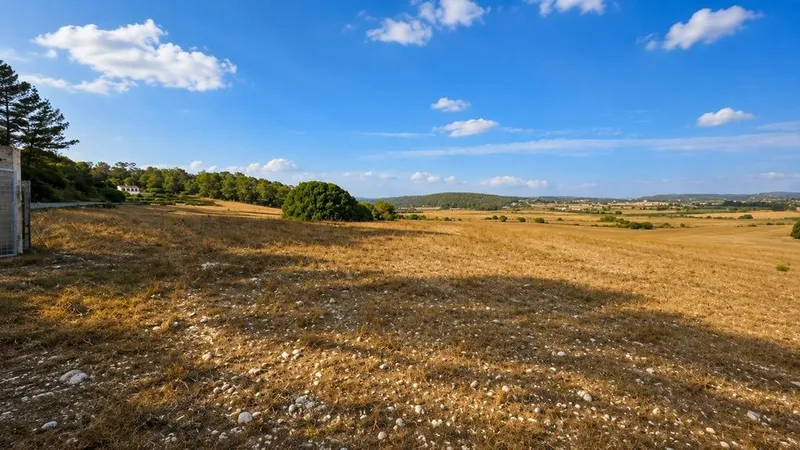 Land in Algaida, Province of Balearic Islands — photo 6