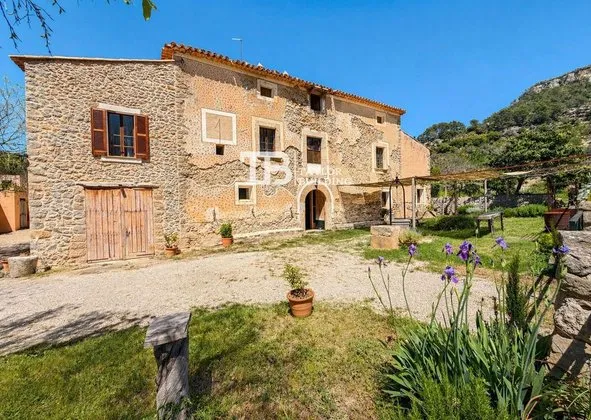 Detached house in Calle sa Riera, Puigpunyent — photo 3