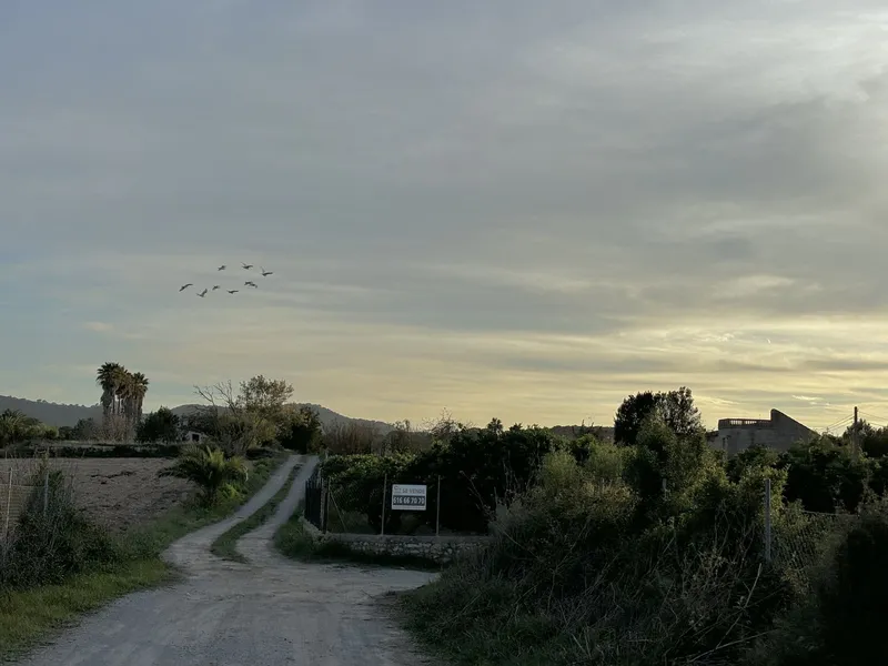 House / Chalet in Manacor — photo 3