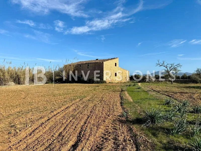 Rural or Farmhouse in Felanitx, Province of Balearic Islands — photo 5