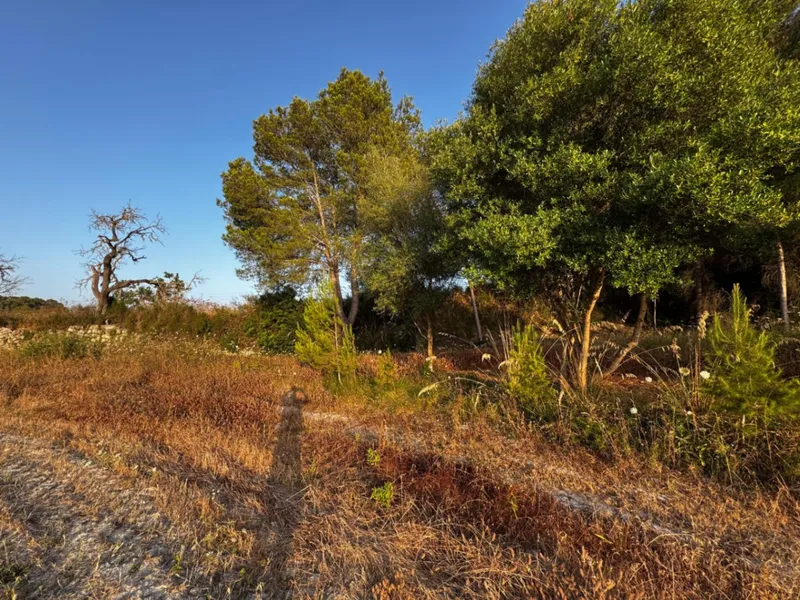 Exceptional rustic building plot with impressive ... — photo 4