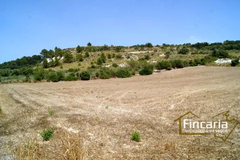 Land in Manacor, Mallorca — photo 7
