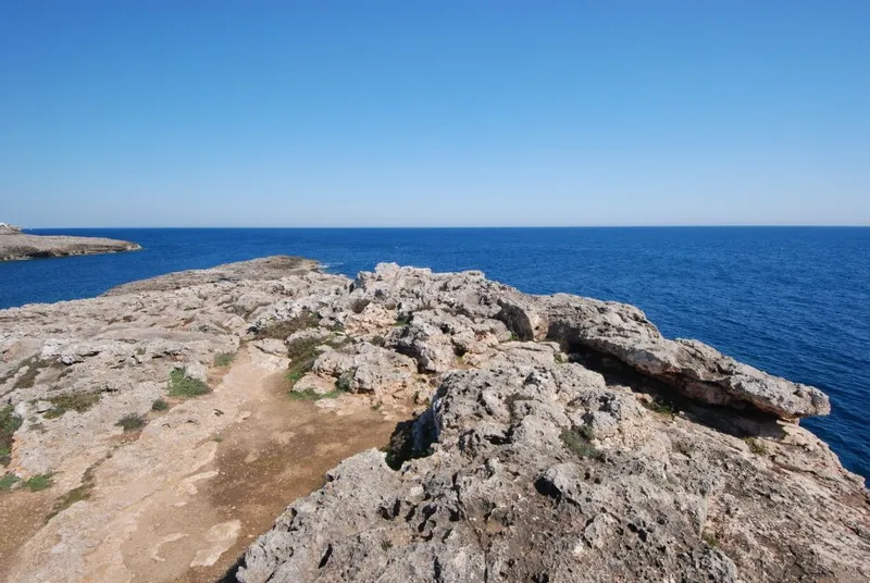 Plot of approximately 1,000m2 on the seafront in Cala D'Or — photo 6