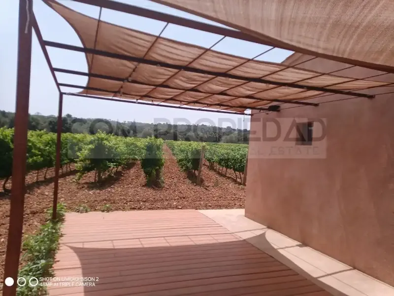 Charming winery with its own production located on a 13,599 m² rustic estate in Costitx, in the very heart of Mallorca. Surrounded by a p — photo 5