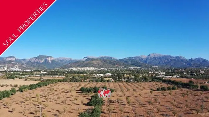 Estate with vineyard and villa project between Binissalem and Inca, Mallorca, Balearic Islands — photo 1