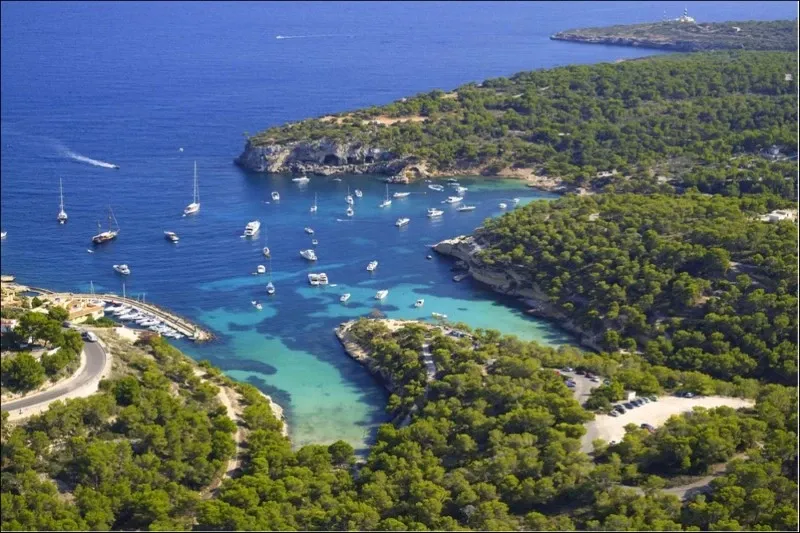 Exclusive new development in Cala Falco (Sol de Mallorca) — photo 7