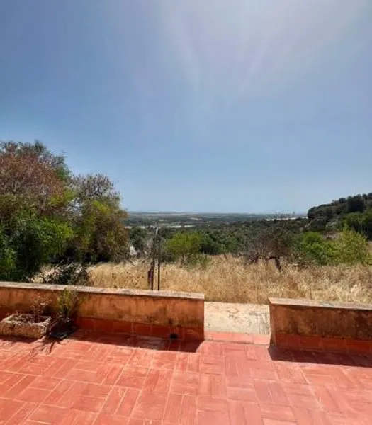 Finca with a large plot - near Palma! — photo 3