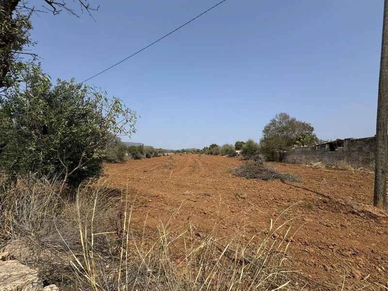 Magnificent property in Llucmajor — photo 2