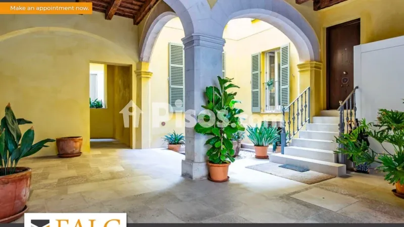 Apartment in La Llotja-Born — photo 2