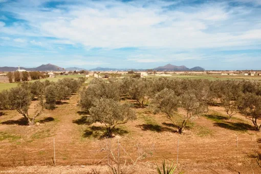 Muro, Majorcan country house in Muro with a lot of living space and panoramic views — photo 3