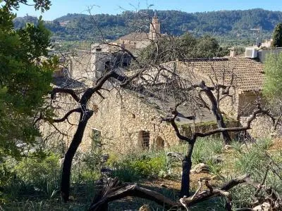 Village house - Selva (Caimari), built surface 160 m², plot surface 2800 m², 3 bedrooms, 1 bathroom — photo 4