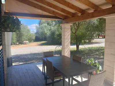 Country House - Manacor (Manacor Centro) — photo 3