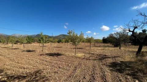 Terreno — photo 4