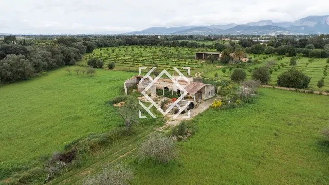 Exclusive rustic finca for sale in Binissalem, Mallorca — photo 1