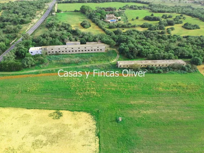 Finca/Country House for sale in Ariany, Mallorca — photo 6