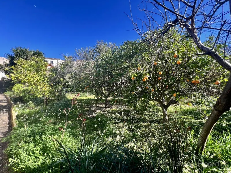 House for sale in Campanet, Mallorca, Baleares, Spain — photo 5