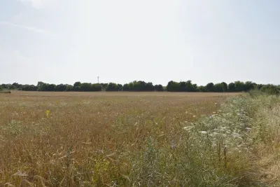 Buildable Land with Unobstructed Views in Manacor — photo 1
