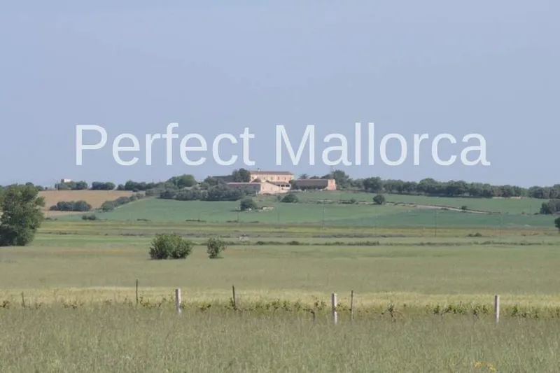 851,360 m² estate with 600 m² living space for sale — photo 9