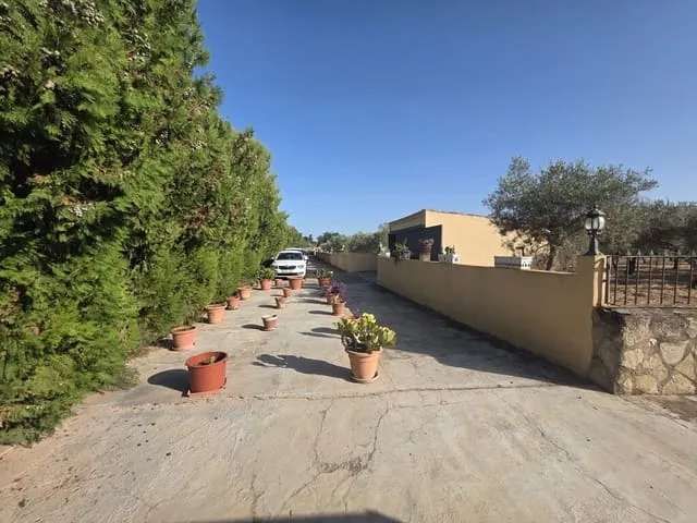 Semi-detached Villa for rent in Biniagual, Binissalem, Mallorca — photo 2