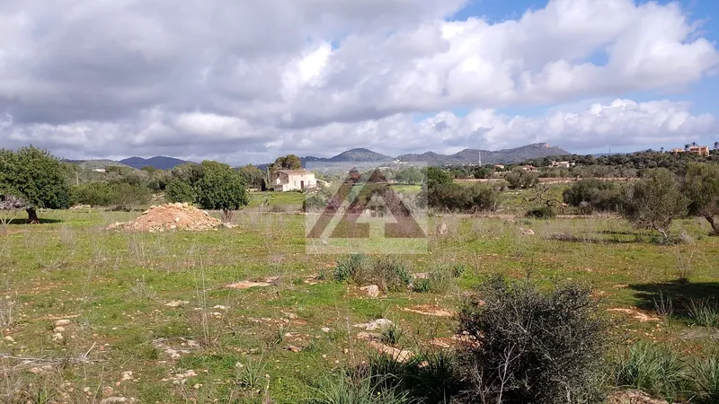 Ländlichles Land zu verkaufen in Porto Cristo — photo 2