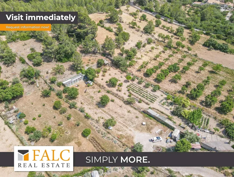 Quiet agricultural property in Calvià - 3,500 m² of nature, privacy and rural charm — photo 1