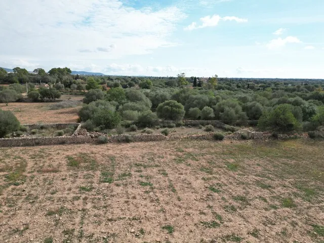 Countryside Plot with License and Project in Llucmajor, South Mallorca — photo 3