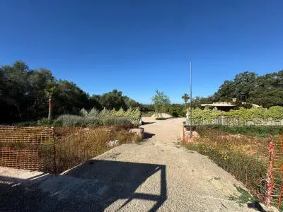 Urbanizable land - Costitx (Costitx) — photo 5