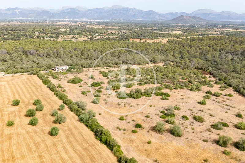 Exceptional Rustic Estate with Endless Possibilities for Sale in Sineu — photo 3