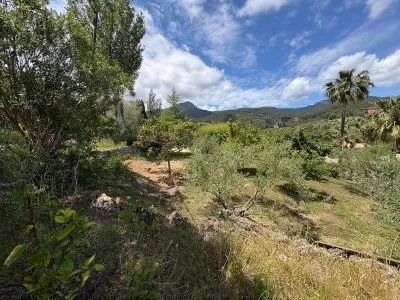 Urban Plot of Land - Puigpunyent (Puigpunyent) — photo 5