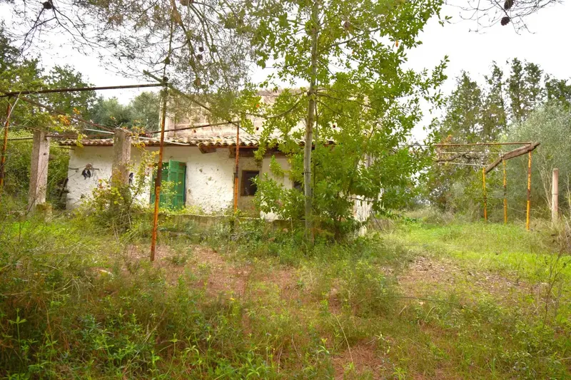 Rustic estate with a plot of 50,419 m² in Muro — photo 1