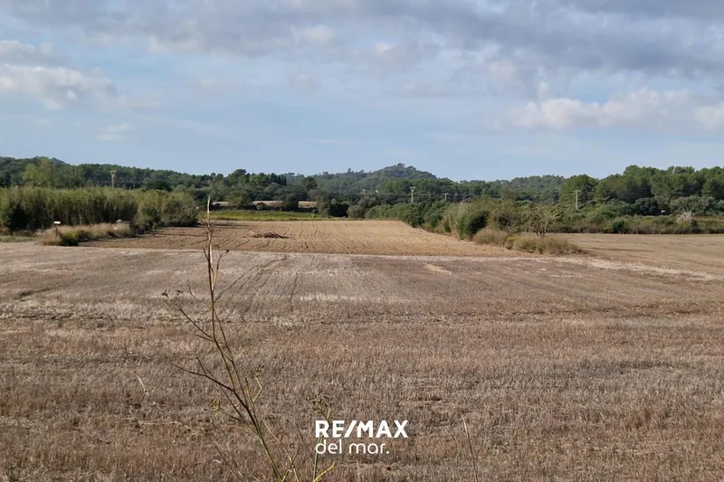 Rustic plot with well in Porreres — photo 7