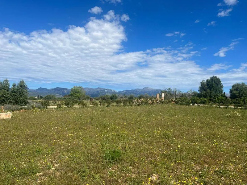 Land in Sencelles, Province of Balearic Islands — photo 10