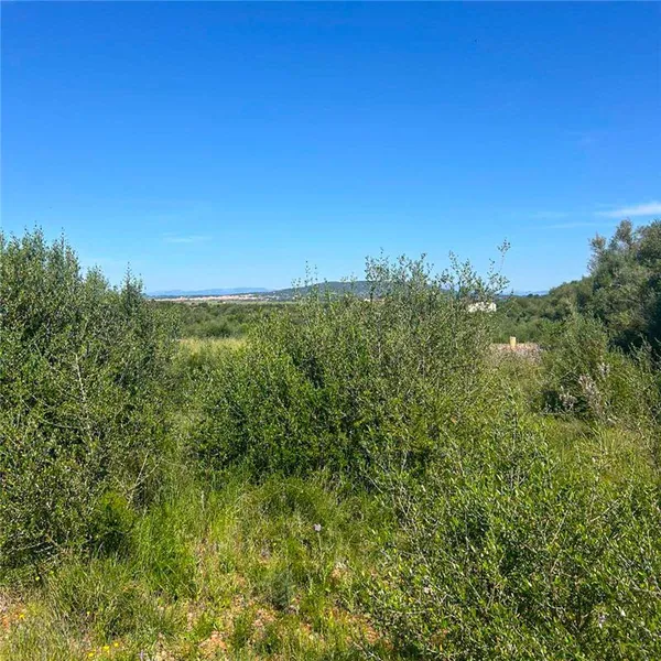 Exclusive property of approx. 15,155 m², suitable for building — photo 1