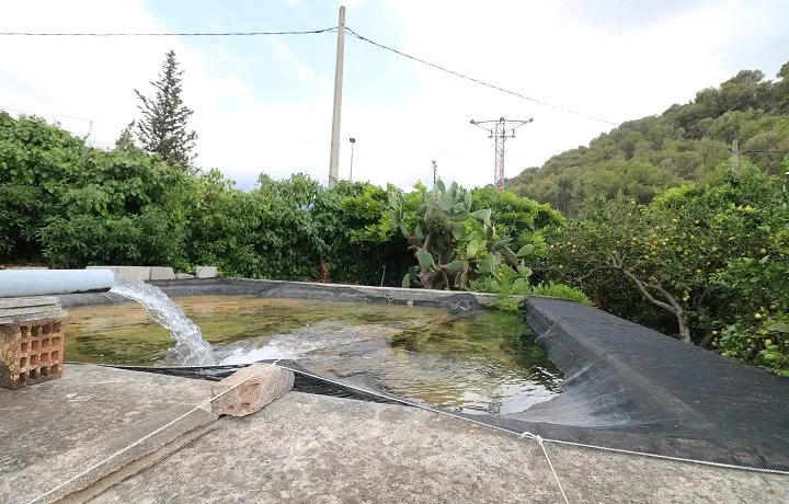 Agricultural estate with dwelling in Puerto de Soller — photo 12